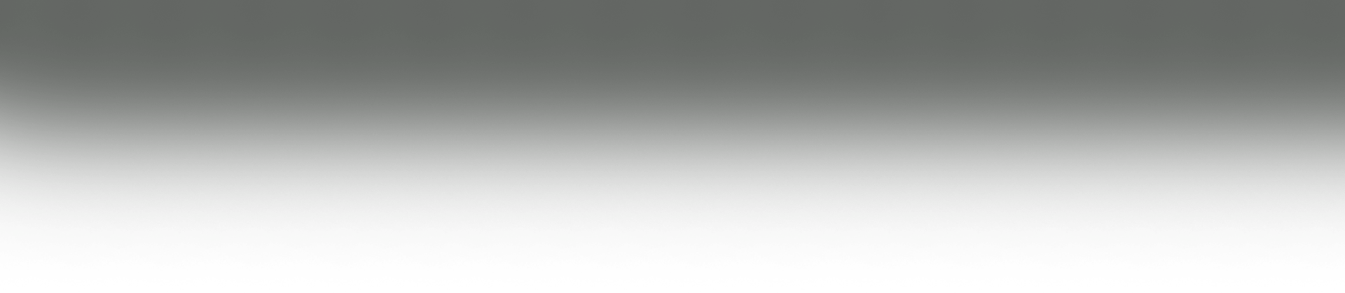overlay-revslider-home1.jpg