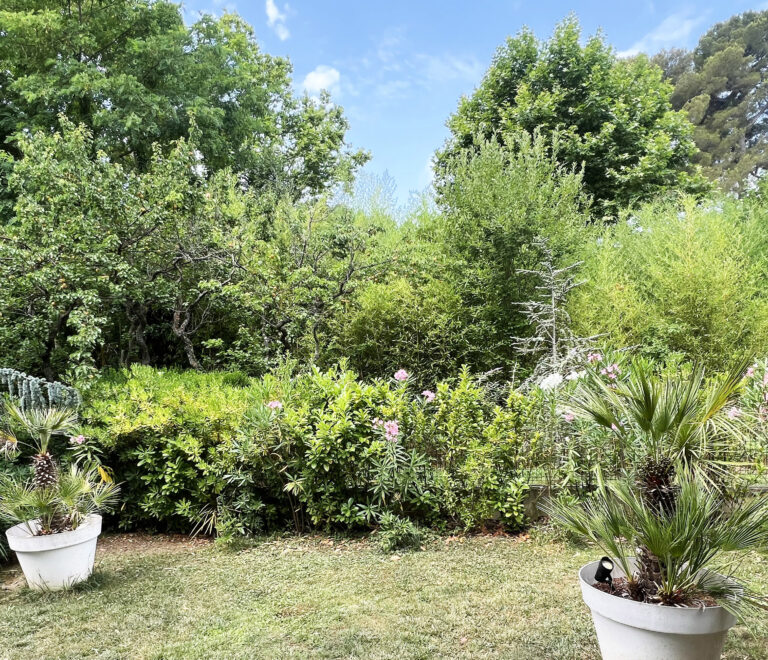 Jardin